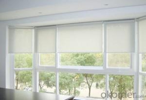 Zebra blinds / Rainbow fabric/ Roller window blinds fabric System 1