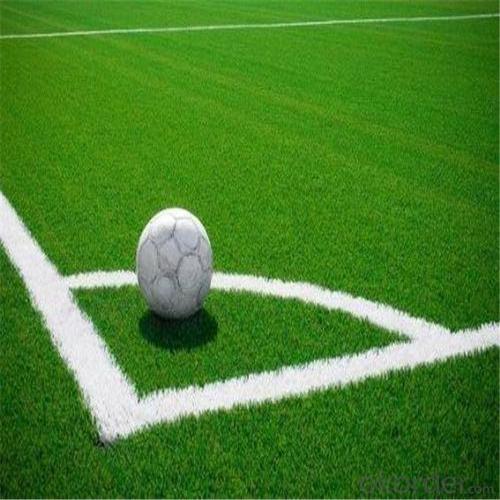 Cheap Artificial Grass/Artificial Grass For Football Field System 1