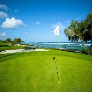Golf Sport Court Artificial Grass/Golf Turf