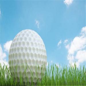 Sport Artificial Grass  Of  Golf Court  Surfaces System 1