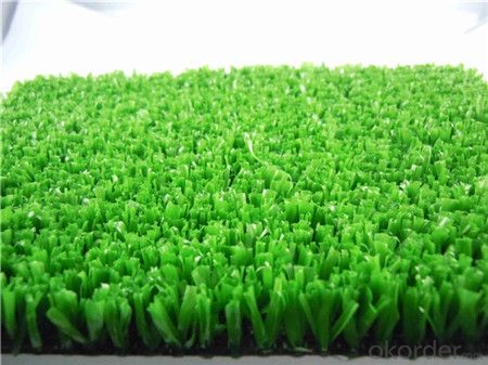 UV  Proof  Artificial Lawn  Made By CMAX Monofilament PE  And Garden/Feild Artifical Grass System 1