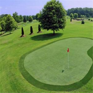 Golf Grass/ Artificial Grass  Of  Golf/ Best  Grass To Buy System 1