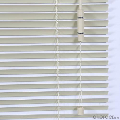 vertical outdoor  motorized roller curtain blinds in many styles System 1