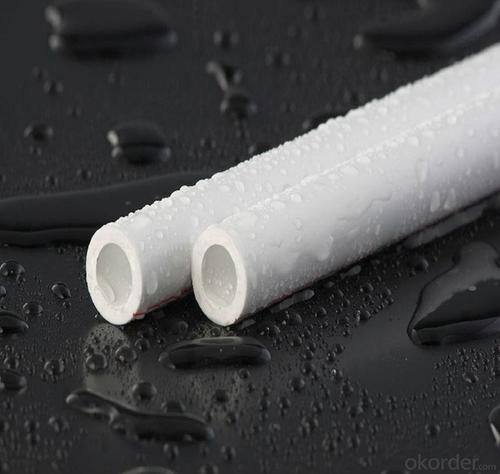 High-Quality Plastic Tubes - New PPR Pipe Watering Irrigation for Industrial Fields System 1