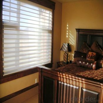 3D Zebra Roller Blinds Window Blinds Fabric System 1