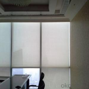 Roller Blinds with Motorized Blackout for Office and Home