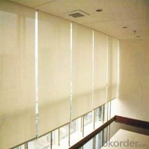 Motorized  Blackout and Sunscreen fabric roller  blinds System 1
