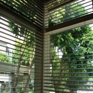 Zebra Motorized Vertical Blinds with Japanese Style for Décor