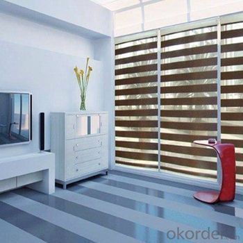 Zebra Blinds Blackout Automatic for Garage Window System 1