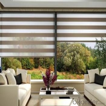 Zebra Blinds with Matching Shower Curtains and Blinds System 1