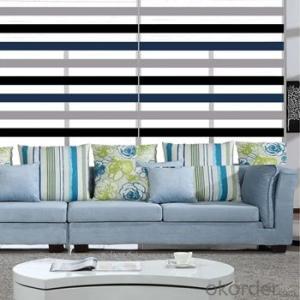 Zebra Blinds with Matching Shower Curtains System 1