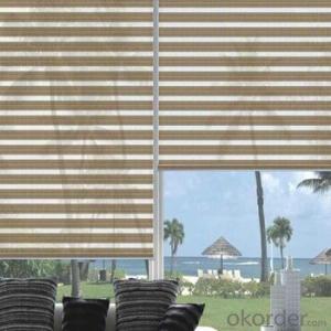 Zebra Window Blinds with Plain Design for Room Décor