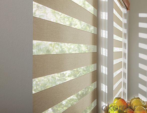 PVC Outdoor Retractable Window Roller Blinds System 1