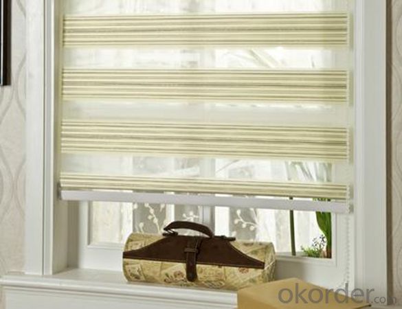 Vertical electric and waterproof roller blind and curtains System 1