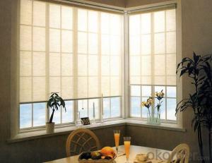 Window roll up shade/ Outdoor Roller Blind System 1