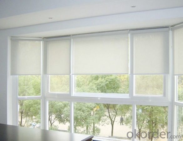 Spring Loaded Side Window Roller Shades Blinds System 1