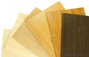 Bamboo / Wood Panel, Interior Wall / Ceiling Decoration – Environmental Architectural Cladding