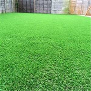 Turf for Leisure and Decoration Artificial  grass