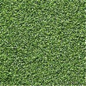 Encrypt artificial turf football field artificial artificial turf plastic carpet System 1