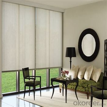 Roller Blind Heat Resistant Office Door Blinds System 1