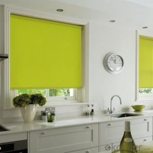 Roller Blind to Keep Warm in Cold Winter System 1