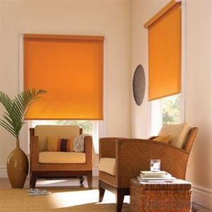 Roller Blind Designer Home Decor for Living Room System 1