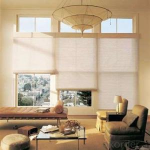 Zebra Blinds Window Home Decoration Night Vision System 1