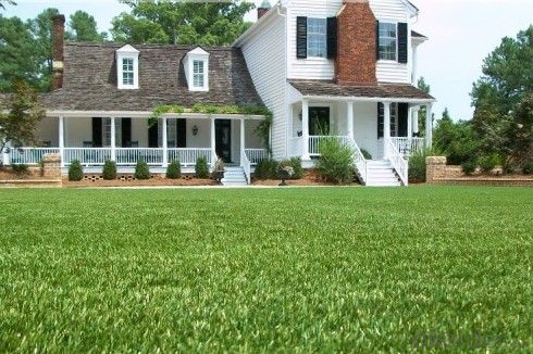 Stem fiber Artificial Grass for landscaping/garden or football System 1