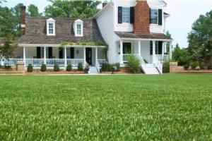 Stem fiber Artificial Grass for landscaping/garden or football System 1