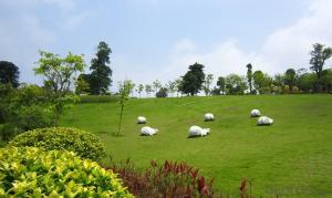 2018 New design artificial grass for wedding System 1