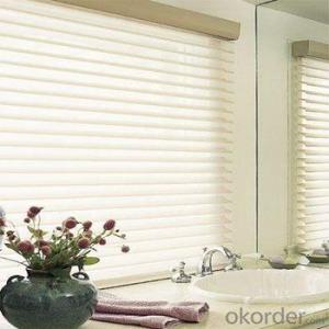 Roller Blinds and Zebra Blind for Office and Home System 1