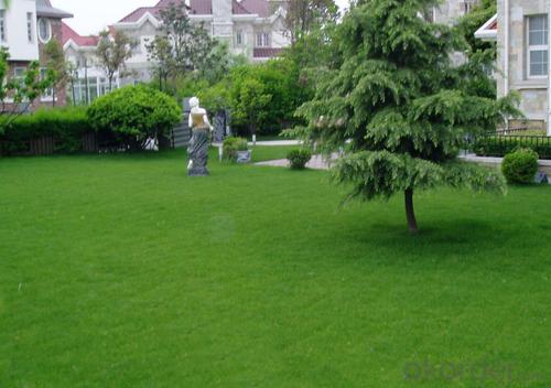 Artificial Grass For Landscape/Sport Synthetic System 1