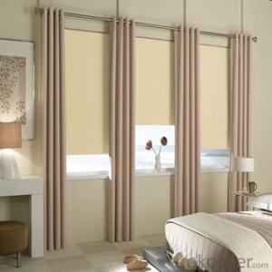 Roller Blind Waterproof Windows Blind for Office and Home