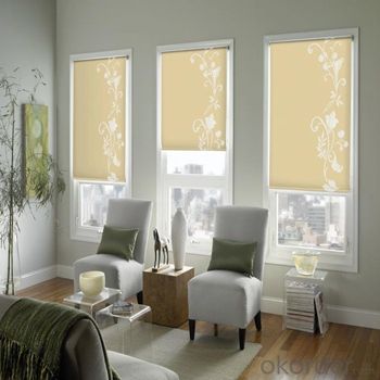 Roller Blinds Motorized Outdoor Blinds for Office System 1