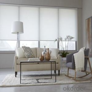 Roller Blinds Waterproof Motorized Outdoor Blinds for Office