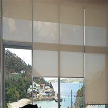 Roller Blind Waterproof Motorized Outdoor Blind System 1