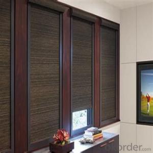 Roller Blinds Waterproof Motorized Outdoor Blinds for Home System 1