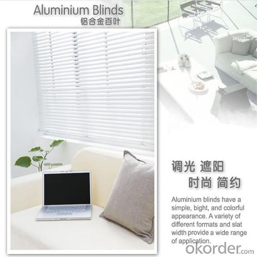 Aluminum Venetian Chain Roller Blinds Component System 1