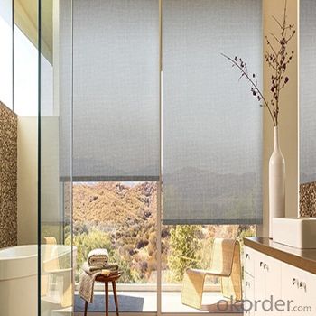 Roller Blind Waterproof Zebra Blinds for Office and Home System 1