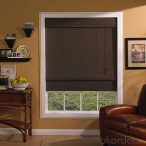 Roller Blinds and Motorized Zebra Blind for Office and Home System 1