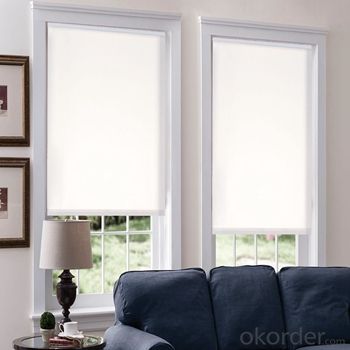 Roller Blinds Waterproof Motorized Outdoor Blind System 1