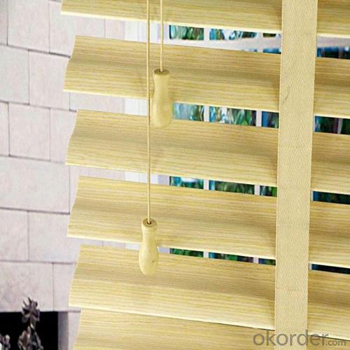 Double Roman Elegant Window Curtain Shades System 1