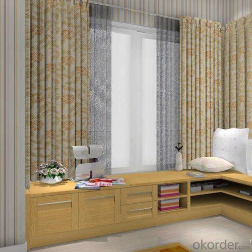 Zebra Roller blinds For New Indoor Home Window System 1