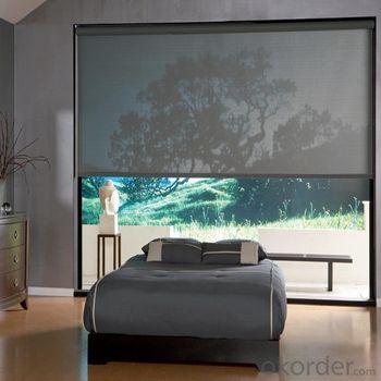 Roller Blinds Motorized Zebra Blinds for Offices and Home System 1