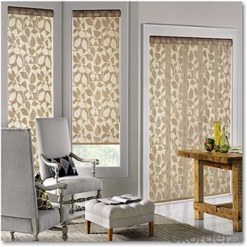 roller vertical waterproof curtain of roman  styles System 1