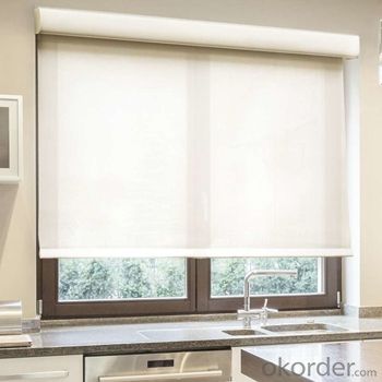 Roller Blinds Motorized Outdoor Waterproof Electric Outdoor Blinds for Office System 1