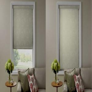 3D Zebra Roller Blinds Window Blinds with Fabric material System 1