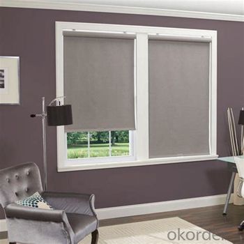 Roller Blind Motorized Zebra Blinds for Offices System 1