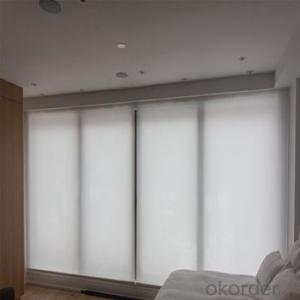 Roller Blind Motorized Outdoor Waterproof Electric Outdoor Blinds for Office and Home