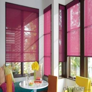 Roller Blinds Motorized Outdoor Waterproof Electric Outdoor Blind for Office System 1